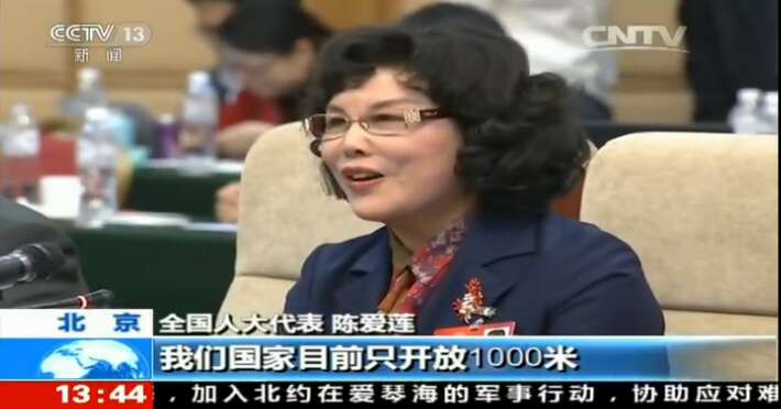 【CCTV新闻】陈爱莲代表谈通用航空产业